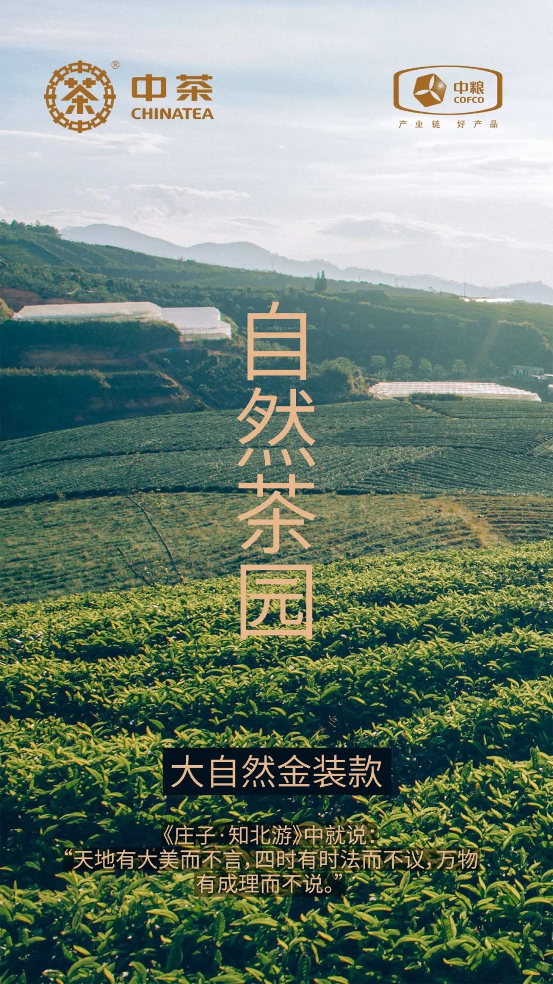 中茶御用設計公司